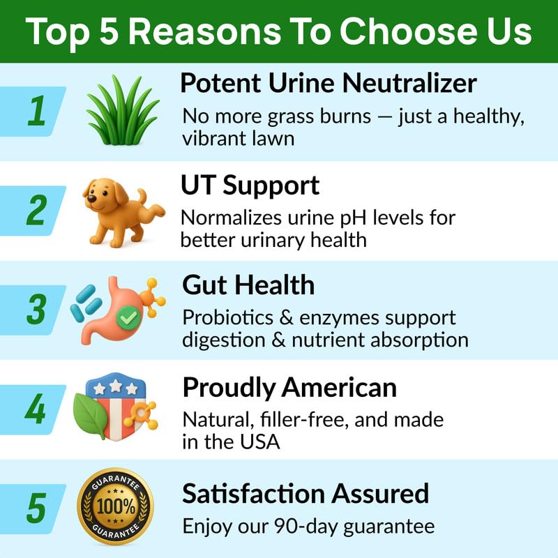 PAWFECTCHEW Dog Pee Grass Chews - Grass Treatment for Pet Urine - Neutralizer for Green Grass Burn Urine Spots - Green Lawn Chews for Dogs with Probiotics - Made in USA (120Ct) - size: 120Ct