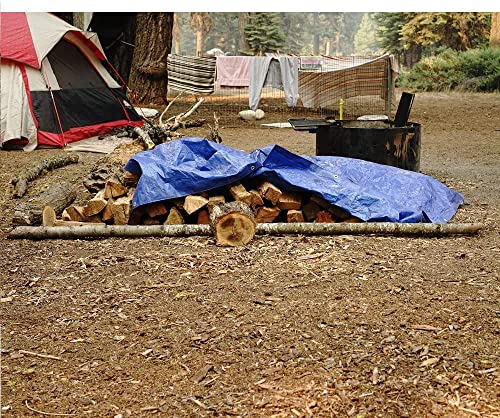 Grizzly Tarps by B-Air 10' x 14' Large Multi-Purpose Waterproof Heavy Duty Poly Tarp with Grommets Every 36", 8x8 Weave, 5 Mil Thick, for Home, Boats, Cars, Camping, Protective Cover, Blue - size: 10x14