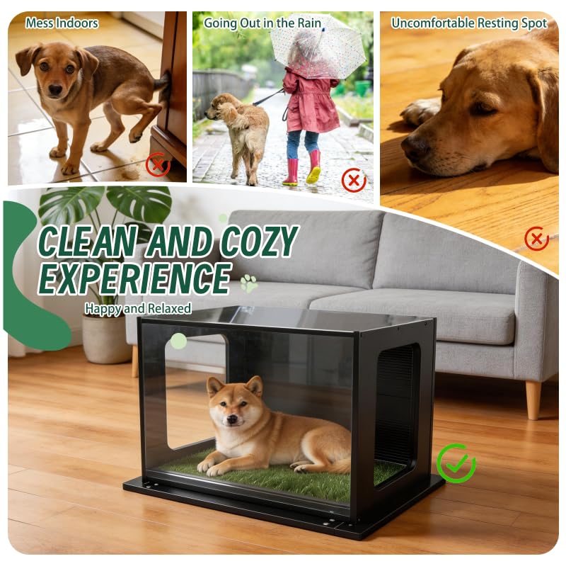 High Walls Indoor Dog Potty, 31.5" x 22" Porch Potty for Dogs with Wooden Walls & Steel Frame, Multi-Layer Easy-Clean Base - Dog Litter Box for Small Medium Dogs, Includes 10 Training Pads