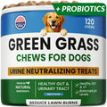 PAWFECTCHEW Dog Pee Grass Chews - Grass Treatment for Pet Urine - Neutralizer for Green Grass Burn Urine Spots - Green Lawn Chews for Dogs with Probiotics - Made in USA (120Ct) - size: 120Ct