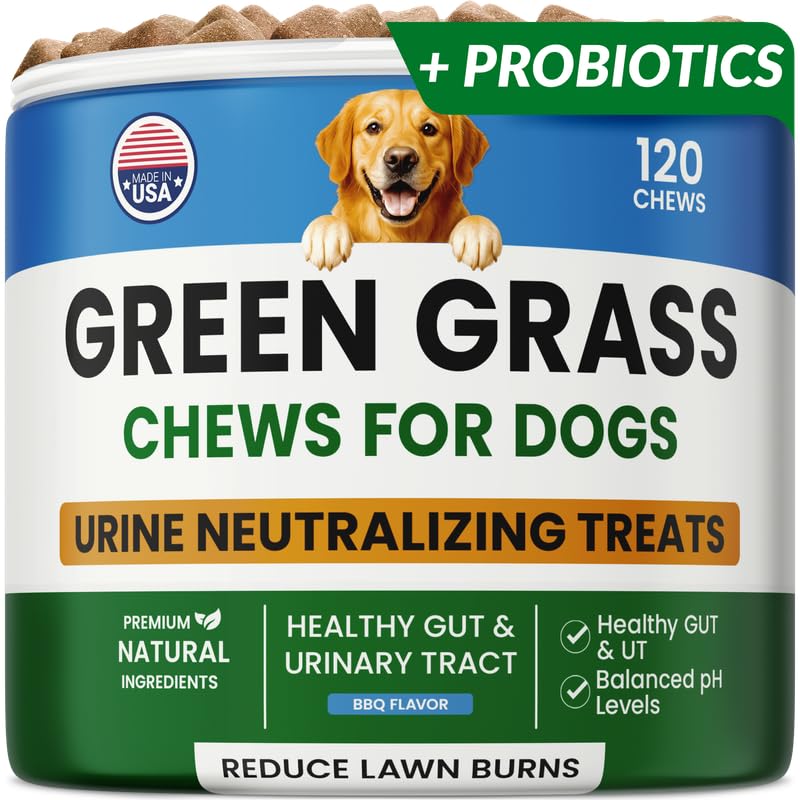 PAWFECTCHEW Dog Pee Grass Chews - Grass Treatment for Pet Urine - Neutralizer for Green Grass Burn Urine Spots - Green Lawn Chews for Dogs with Probiotics - Made in USA (120Ct) - size: 120Ct