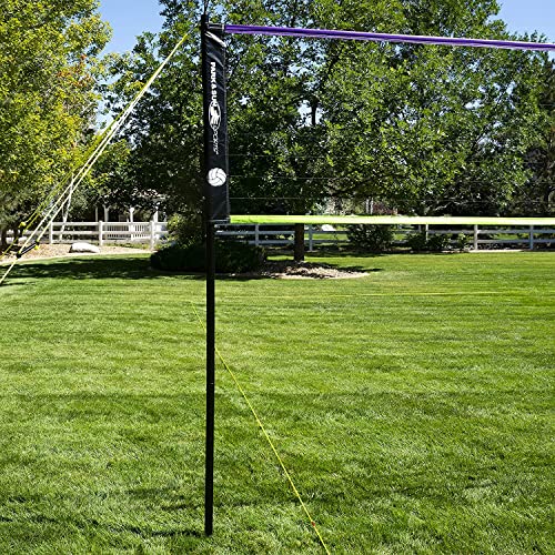 Park & Sun Spiker Sport Portable Outdoor Volleyball Net System – Blue Net, Regulation Size 32' L x 3' H, Adjustable Height, Lightweight, Includes Carrying Bag for Backyard and Beach Play - style: Spiker Sport SL