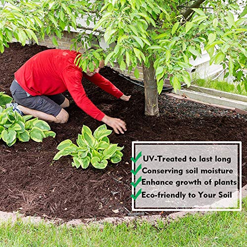 Premium 5oz Pro Weed Barrier Landscape Fabric Ground Cover Heavy Duty Commercial Anti-Weed Gardening Mat, 3ft x 100ft, Black - size: 3ftx100ft
