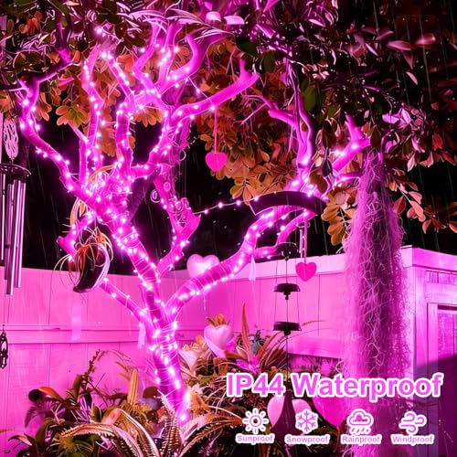 QITONG 4 Pack Solar Fairy Lights, Each 33ft 100 LED Pink Christmas String Lights Outdoor Waterproof, 8 Modes Copper Wire Twinkle Mini Lights - color: Pink, size: 4Pack*100LED