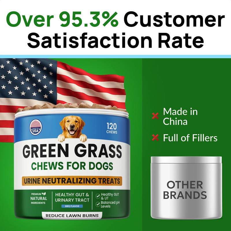 PAWFECTCHEW Green Grass Dog Chews with Probiotics – Lawn Burn Support – Dog Urine Neutralizer for Grass – Pee Spot Control – Gut & Urinary Health – 240Ct - size: 240Ct