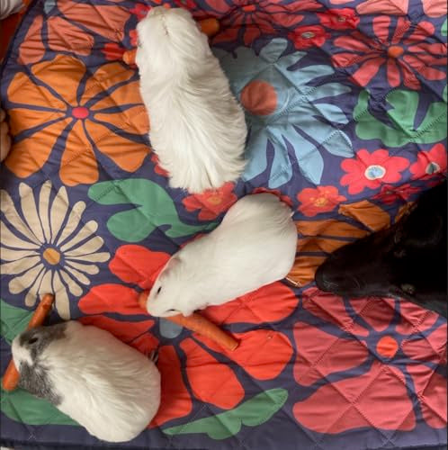 Waterproof Blanket, 29" x 34” - Seat Cover for Dogs and Pets. Ideal for Small and Medium Pet Crate Blankets, Settle mat, Diaper Changing and Playmat for Babies - color: Multicolored