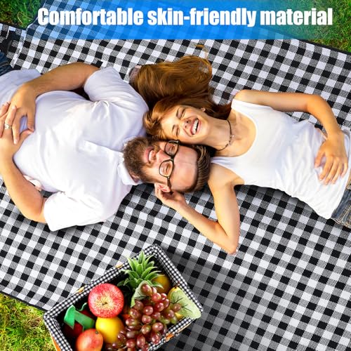 Patelai Wicker Picnic Basket Natural Hand Woven Basket with Double Folding Handles, Willow Hamper Baskets with Blanket for Outdoor Picnic Summer Spring Camp Family(Black and White Grid) - color: Black and White Grid