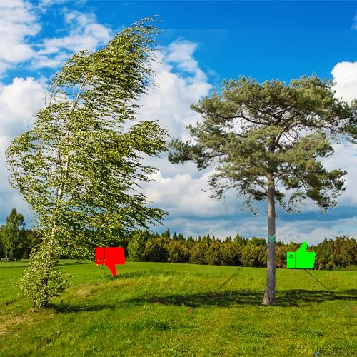 Tree Stake Kit – Heavy Duty Tree Stakes and Supports for Leaning Trees – Metal Stake for Straightening Kit with 3 Set Tree Stakes, for Staking and 13.12 Feet Tree Rope - color: 3 Pack