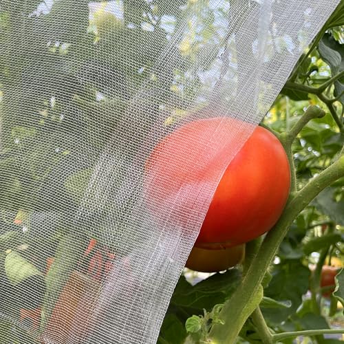Garden Mesh Netting 10'x33' Plants Covers Ultra Fine Bug Cover Keep Trees Vegetables Fruits from Cicada Mosquito Netting for Patio Crops Flowers Protection Cicada Insect Net (White) - size: 10'x33'