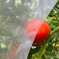 Garden Mesh Netting 10'x33' Plants Covers Ultra Fine Bug Cover Keep Trees Vegetables Fruits from Cicada Mosquito Netting for Patio Crops Flowers Protection Cicada Insect Net (White) - size: 10'x33'