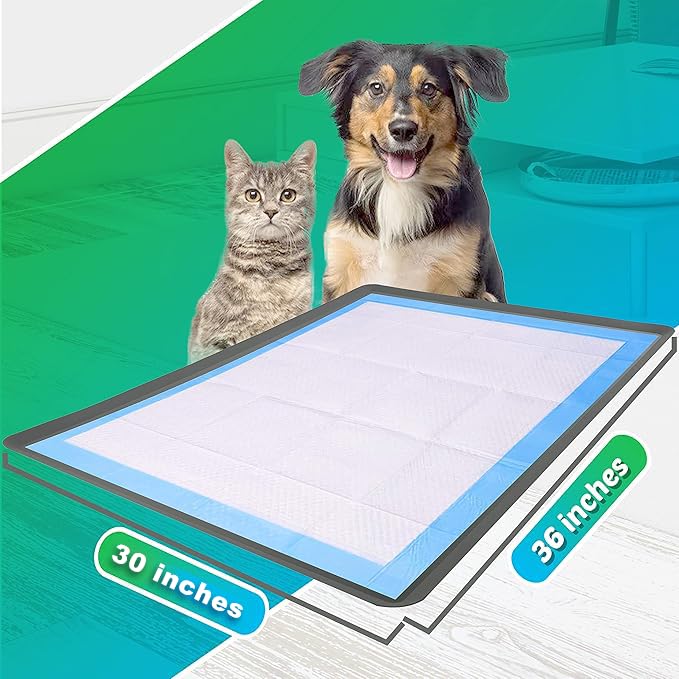 TidyFriend Dog Pee Pad Holder Tray Fits Up to 30” x 36” Wee Wee Pee Pads - Stable Grip, Raised Edges, Quick-Wipe Silicone Surface Dog Potty Tray Holder for Indoor Flooring Protection (Grey) - color: Gray, size: 1 Pack