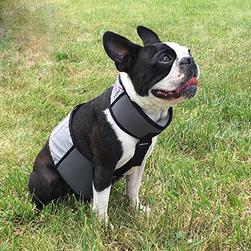 CoolerDog Dog Cooling Vest & Cooling Collar – Ice Vest for Hot Weather Heat Relief, Re-Freezable Pure Water Inserts (Small 18”–22” Girth) - size: S