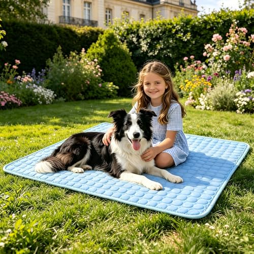 SOMOYA Cooling Mat for Dogs (Q-Max>0.4) Pet Cooling Pads Blanket Sleeping Kennel Mat,Ice Silk Cool Mat Pad Breathable Dog Bed Mats Beach for Large Dogs Cats (Blue, 27x39 in) - color: Blue, size: 27x39 in