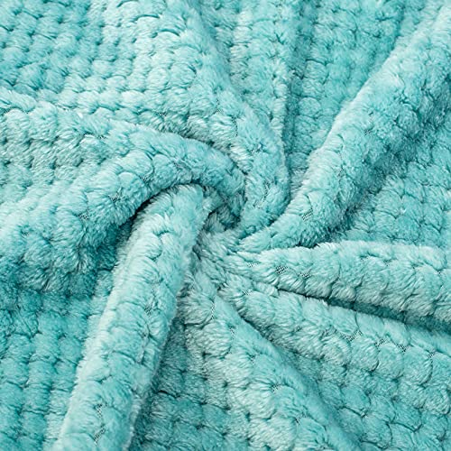 Fuzzy Blanket or Fluffy Blanket for Baby Girl or boy, Soft Warm Cozy Coral Fleece Toddler, Infant or Newborn Receiving Blanket for Crib, Stroller, Travel, Outdoor (24" x 32", DG-Blue Bell) - color: Dg-blue Bell, size: Blanket (24" x 32")