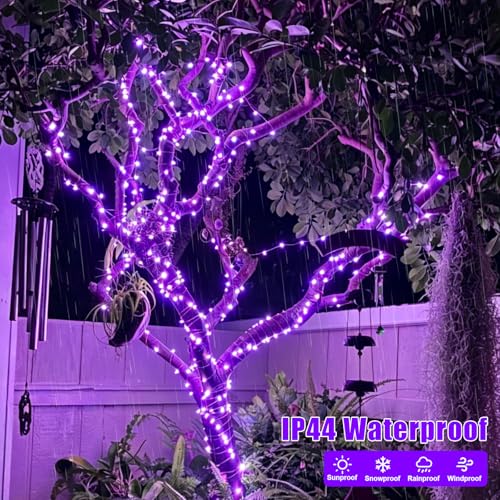 YEGUO 4 Pack Purple Solar Fairy Lights, Each 33ft 100 LED Christmas Lights Outdoor Waterproof, 8 Modes Sliver Wire Solar String Lights - color: Purple