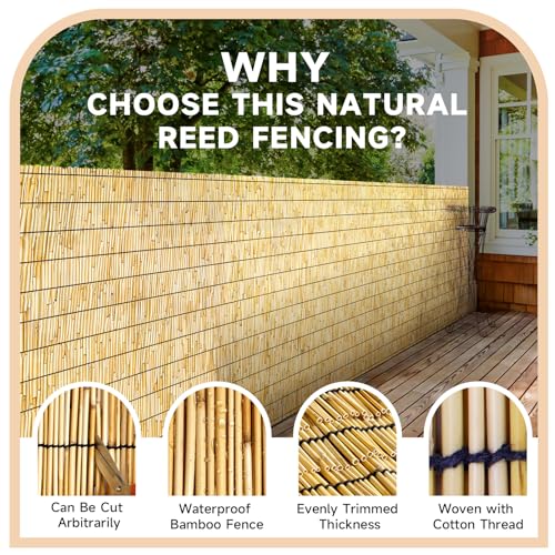 ZNCMRR Reed Fencing Rolls Natural Bamboo Fence 4 Feet High Privacy Screen Curtains Fence for Balcony Patio Garden Backyard Shades Outdoor 4FT X 16.4FT （Yellow） - color: 4X16.4 FT Yellow, size: 4X16.4 FT