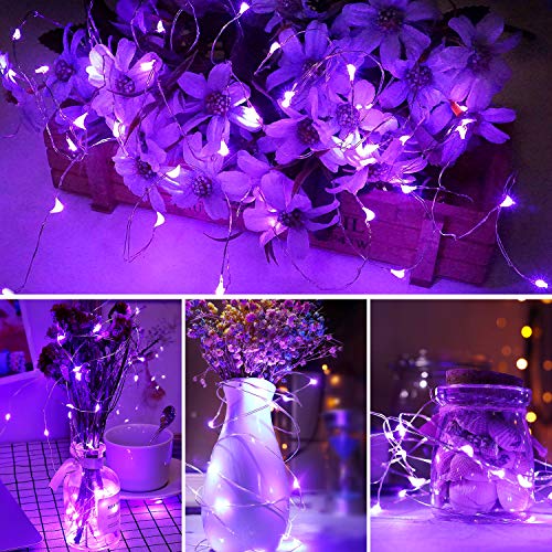 Blingstar USB Powered Fairy Lights, 2 Pack 33Ft 100 LED, Flexible Silver Wire, Mini String Lights for Christmas Tree/Halloween/Bedroom/Camping/Holiday Decoration, Purple - color: Purple