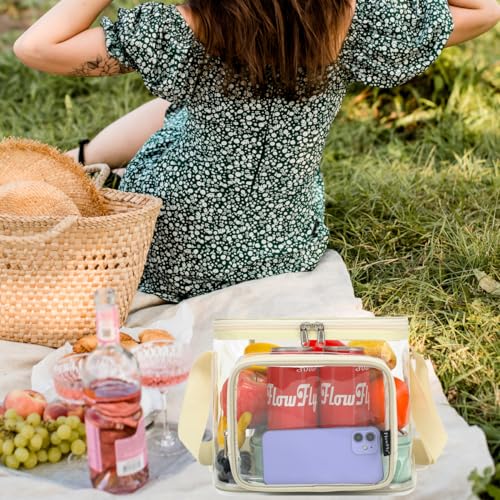 FlowFly Insulated Reusable Lunch Bag Adult Large Lunch Box for Women and Men with Adjustable Shoulder Strap,Front Zipper Pocket and Dual Large Mesh Side Pockets,Clear#Biege - color: Clear#Biege