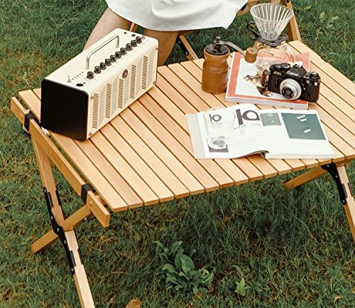S'more Folding Picnic Table, Portable Camping Table with Carry Bag, Wood Outdoor Table for Picnic, Camping, Travel, Party, Beach, Garden, Patio, gailgating, BBQ,Easy to Assembly (L Size-120cm) - size: L-120CM, style: Wood