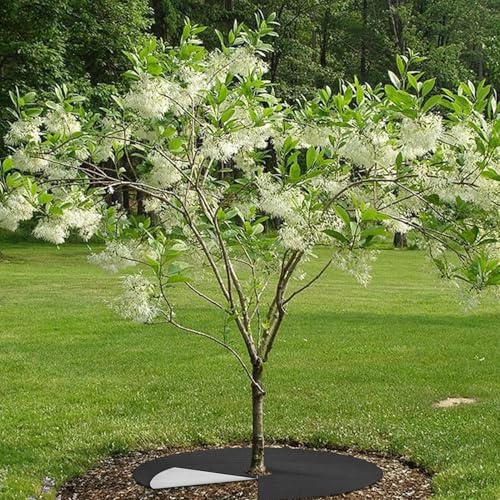 Tree Mulch Ring - Tree Root Protective Cover Disc with Ground Anchoring Nails, Temperature-Resilient Heavy Duty Landscaping Mat | Garden Lawn Flowerbed Yard Farm Outdoor Soil Moisture Barrier - color: Black 60cm