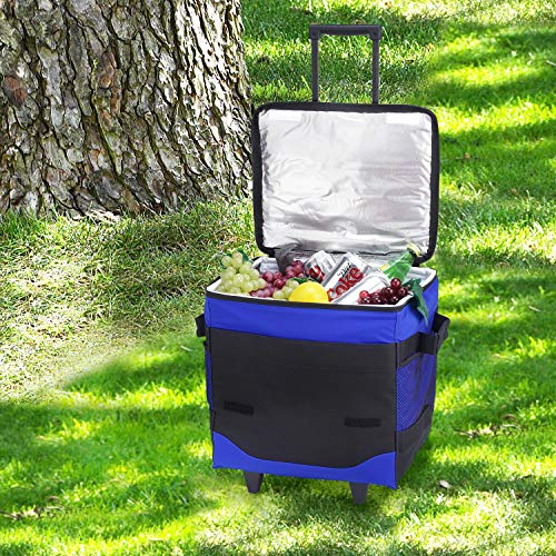 Picnic at Ascot 60 Can Collapsible Insulated Rolling Cooler - Royal Blue- Pack of 2 - color: Royal Blue - Pack of 2