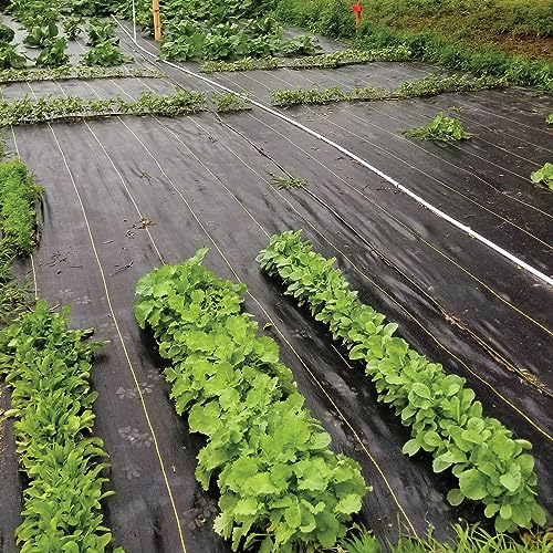 Dewitt Sunbelt Weed Barrier Fabric 3.2 oz, 4 x 300 Feet – Heavy-Duty Ground Cover Mat for Greenhouse Floors, Garden Rows, Raised Beds, Yard Gardening, and Outdoor Landscape Protection - size: 1 Pack, style: 4' x 300'