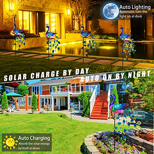 DREAMSOUL Peacock Solar Garden Lights Outdoor Decorative Stake, Waterproof Metal Peacock Garden Decor Solar Powered Landscape LED Path Lights Walkway Patio Decoration Lawn Ornament - color: Purple