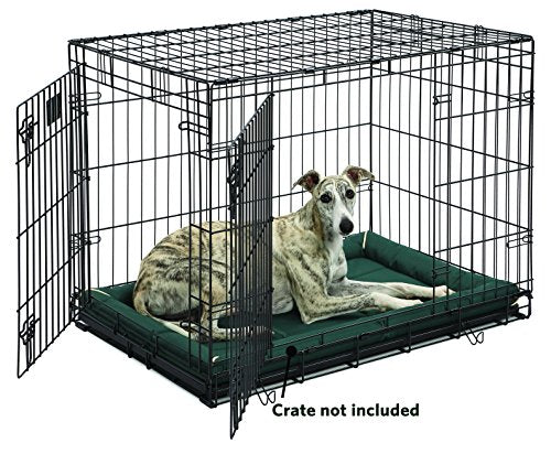 MidWest Homes for Pets Maxx Dog Bed for Metal Crates,36 Inch Green - color: Green, size: 36 Inch