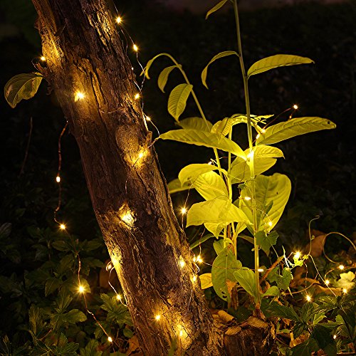 GDEALER 2 Pack 20 Feet 60 Led Fairy Lights Battery Operated with Remote Control Timer, 8 Modes Waterproof Copper Wire Twinkle String Lights for Bedroom Party Indoor- Warm White - color: Warm White