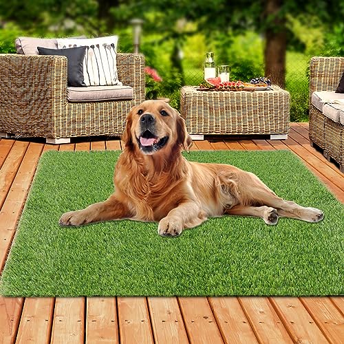 XLX TURF 4 FT x 4 FT Artificial Grass Outdoor Rug, Thick Pets Friendly Fake Grass for Dogs Potty, Turf Carpet for Balcony Patio - size: 4FT X 4FT 25mm