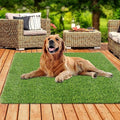 XLX TURF 4 FT x 4 FT Artificial Grass Outdoor Rug, Thick Pets Friendly Fake Grass for Dogs Potty, Turf Carpet for Balcony Patio - size: 4FT X 4FT 25mm