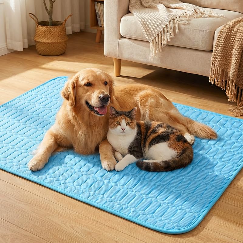 HISKI Dog Cooling Mat, Cool Gel Mat with Long-Lasting Cool, Waterproof Fabric Portable Cooling Pad for Pets, Summer Dog Cooling Mat, Portable and Easy to Clean (Gray, Small) - color: Gray, size: Small