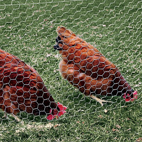 YARDGARD 1 Inch Poultry Netting, Chicken Wire Fence, 20 Gauge Galvanized Steel, Rabbit Fencing, Bird Enclosures, Garden Protection and Plant Support, 24 Inches x 150 Feet - size: 24 Inches x 150 Feet