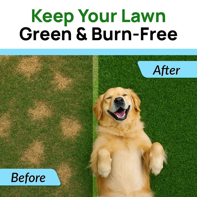 PAWFECTCHEW Dog Pee Grass Chews - Grass Treatment for Pet Urine - Neutralizer for Green Grass Burn Urine Spots - Green Lawn Chews for Dogs with Probiotics - Made in USA (120Ct) - size: 120Ct